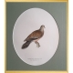 Magnus von Wright Art Birds 3