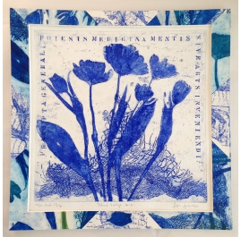 Tulips blue print