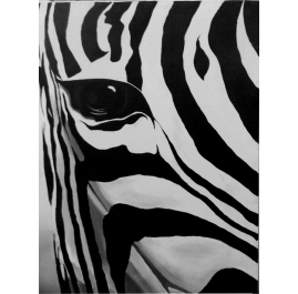 A Zebra's Eye