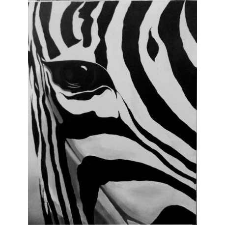 A Zebra's Eye