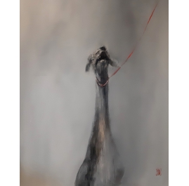 Dog on Leash