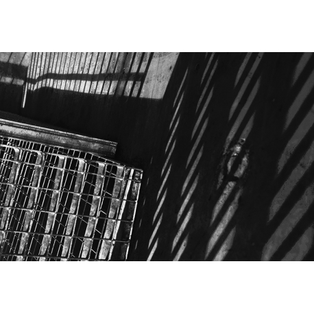 Cage-landscapes_I_6376