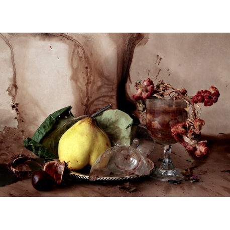 Natura Morte - Still life