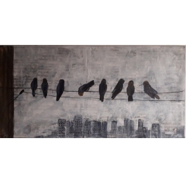 City Birds