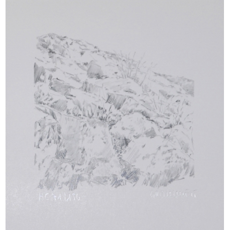 Landschap
