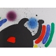 Originele Lithografie X