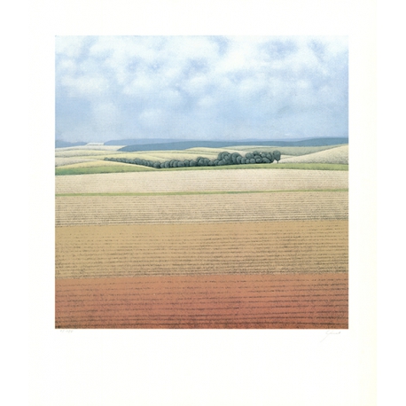 Landschap
