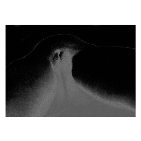 Body Series, Untitled