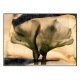 Blumenserie 