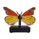Glass urn - Butterfly Monarch