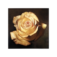 Yellow Rose - Art Print - Campana, Franco -