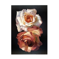 Due Rose - Art print - Campana, Franco