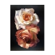 Campana, Franco - Due Rose - Art print