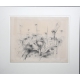Coester, Otto - Landscape I - Pen and ink drawing - ca. 1950 - Unique
