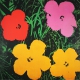 Warhol, Andy - Flowers - LARGE - Art print