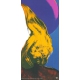 Andy Warhol Flowers Large Art print