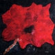 Armando - The Flower - Giclée on canvas - hand signed