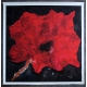 Armando - The Flower - Giclée on canvas - hand signed