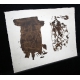 Tàpies, Antoni - Reflecting on Dirt - Color lithograph - hand-signed