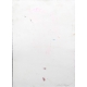 Berner, Bernd -untitled - 1999 - gouache on laid paper - hand signed
