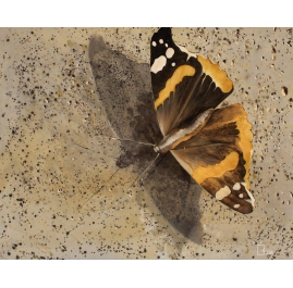 Butterfly Painting by Bekim Resing