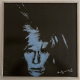 Porcelain Pop Art Portrait Andy Warhol/ Rosenthal