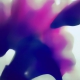 Floral Form - Metal Print by Kirill Chudinskiy