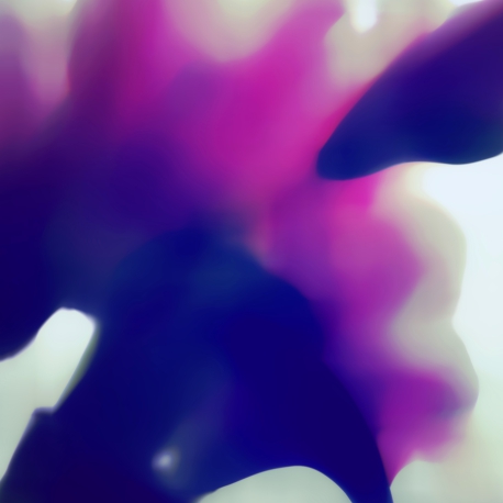 Floral Form - Metal Print by Kirill Chudinskiy