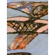 Woman and Bird - Akt mit Vogel III - Abstract Painting by Wunderlich
