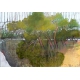 Yellow Land by the Lake - Gelbes Land am See – Painting by Skadi Engeln